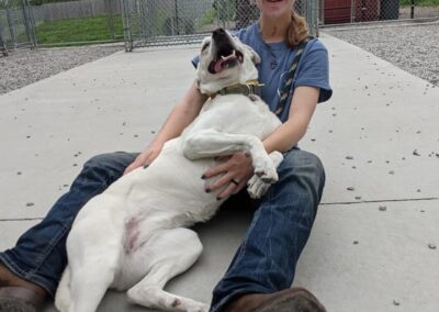 Dog receiving love from caretaker during boarding at Captain Creek Ranch